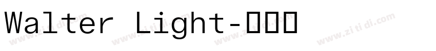 Walter Light字体转换